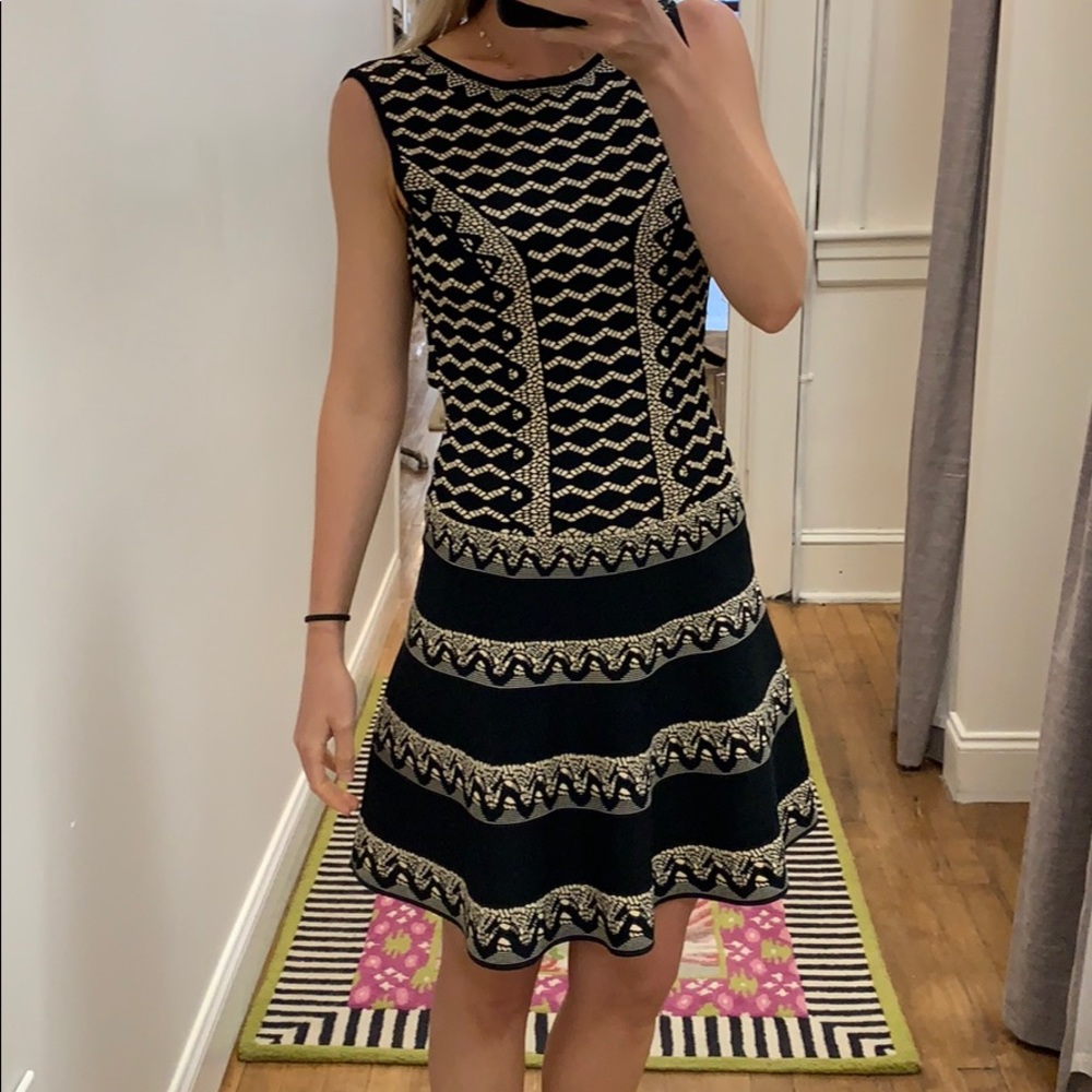 Bcbg fit and flare dress